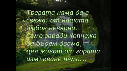 prikazka bez dumi wmv
