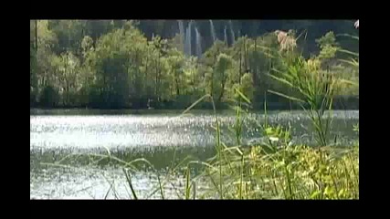Биоразнообразие отвъд 2010г. 