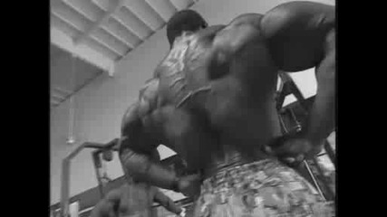 Shoulders - Flex.wmv