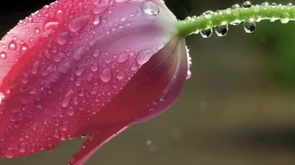 Yiruma - Kiss the Rain