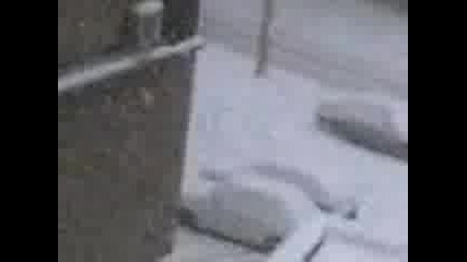 Сняг В Плевен