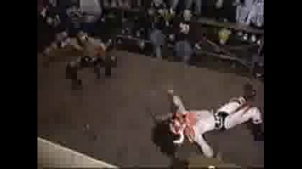 Wwe Jeff Hardy Vs Rey Mysterio Vs Sabu