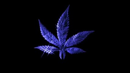 King Size - Puf paf
