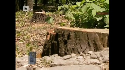 Изверг реже тайно дърветата в Борисовата градина да залага капани за хора