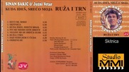 Sinan Sakic i Juzni Vetar - Skitnica (Audio 1995)