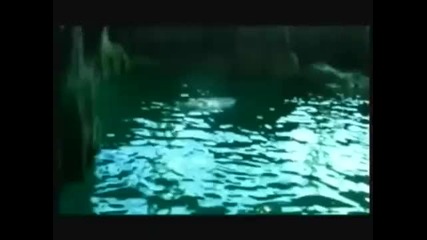 Gloria - 100% Jena 