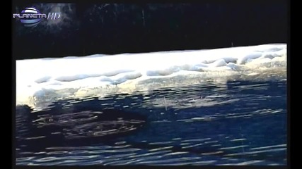 Глория - Ангел с дяволска душа (official Video)