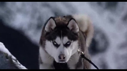 Snows Dogs / Снежни Кучета 2002 - Цял филм с Бг аудио