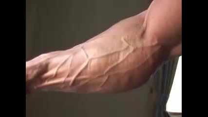 Яка Предмишница 