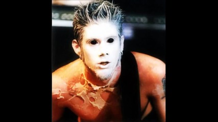 Limp Bizkit (wes Borland)