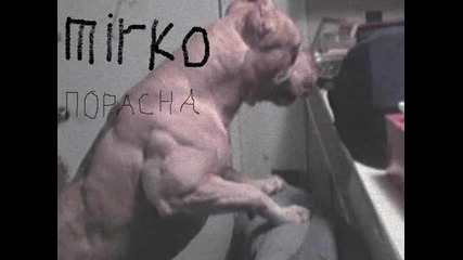 кучета 