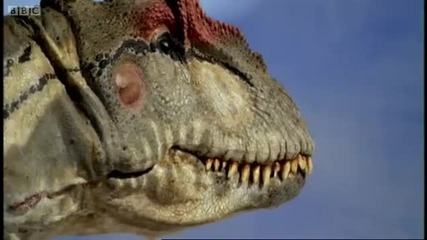 How dinosaurs fed - Walking with Dinosaurs - Bbc 