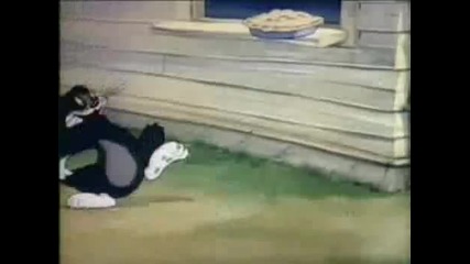 Tom And Jerry - Sufferin Cats