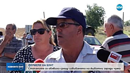 БУНТ: Животновъди се обявиха срещу избиването на животни заради чума