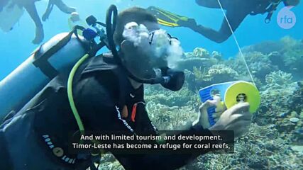 Бижутата на морето: Процъфтящите коралови рифове на Източен Тимор