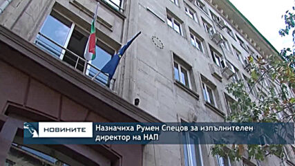 Назначиха Румен Спецов за изпълнителен директор на НАП