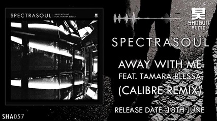 Spectrasoul - Away With Me Feat Tamara Blessa (calibre Remix)