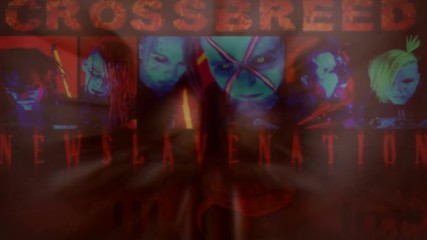 Crossbreed - Beg For This