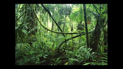 Abc - Sound Of Living