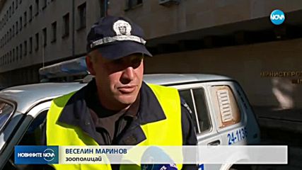 В българските градове вече ще патрулират зоополицаи