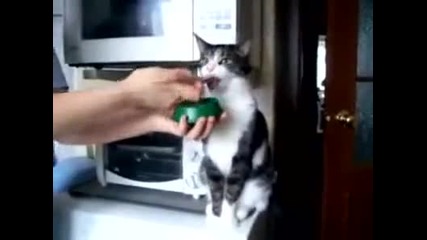 Нека се храним културно :)