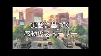 Symphony in August Trailer