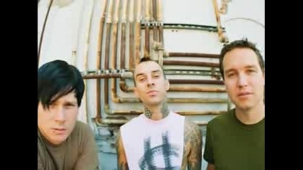 Blink 182 - Every Time I Look For You