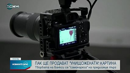 Отново продават "унищожената" картина на Банкси