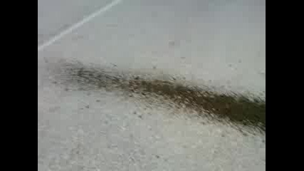 brutalna sleda
