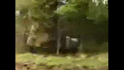 Рали Катастрофи