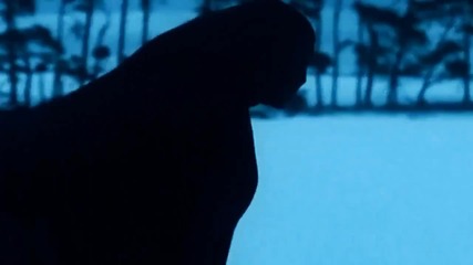 Lykke Li - I follow rivers