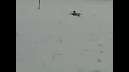 idioti ot svishtov