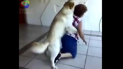 На това куче яко му се клеца