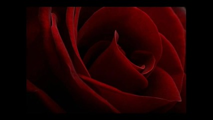Srebrna Krila - O Ana / Превод /