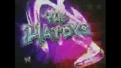 The Hardy Boyz Minitron
