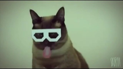 Dubstep Hipster Cat Remix