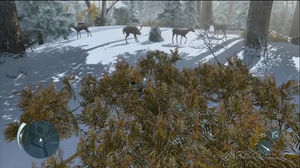 Running of the Deer Gameplay Video - Assassins Creed 3