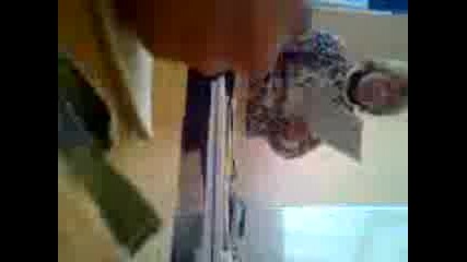 Baleva