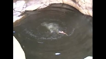 Скок във водата от 30 метра височина