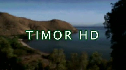 Подводната морска красота на Тимор