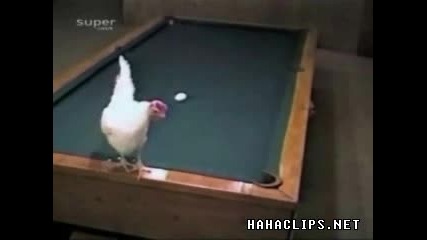 Няма невъзможни неща!