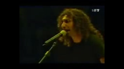 revenga greenfield 2005 Soadfans.com mpeg4 