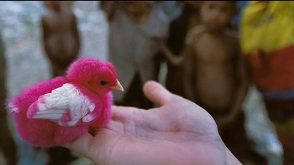 Alien Factor - Progressive Chicken 