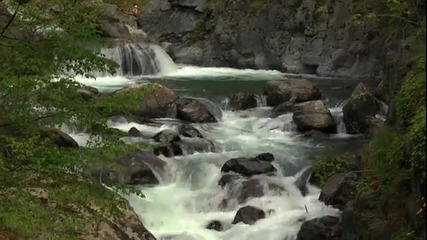 Това е България!