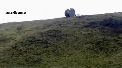 Луд премазва приятеля си с макара