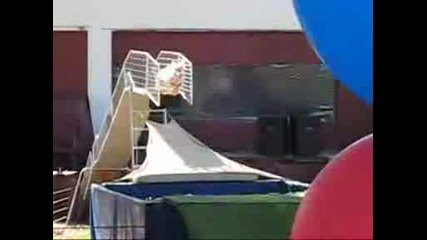 Скачащи Прасета