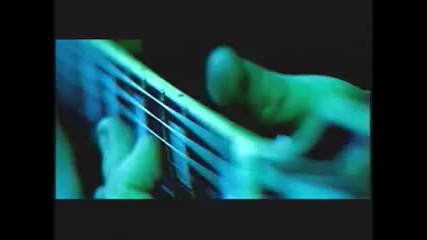 Black label society-stillborn