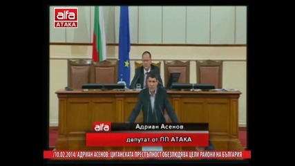 Адриан Асенов: Циганската престъпност обезлюдява цели райони на България