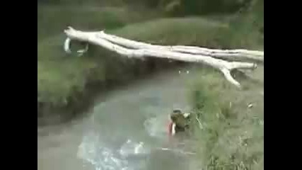 Mario се разцепи xd 