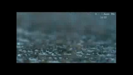 Morandi - Angels